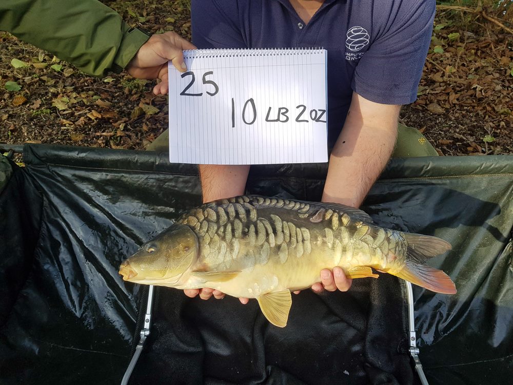 Chelmsford Angling Association Gallery