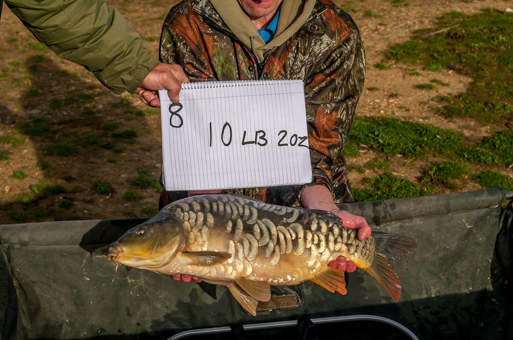 Chelmsford Angling Association Gallery