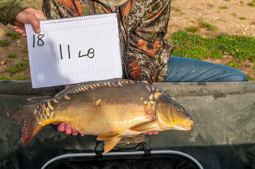 Chelmsford Angling Association Gallery